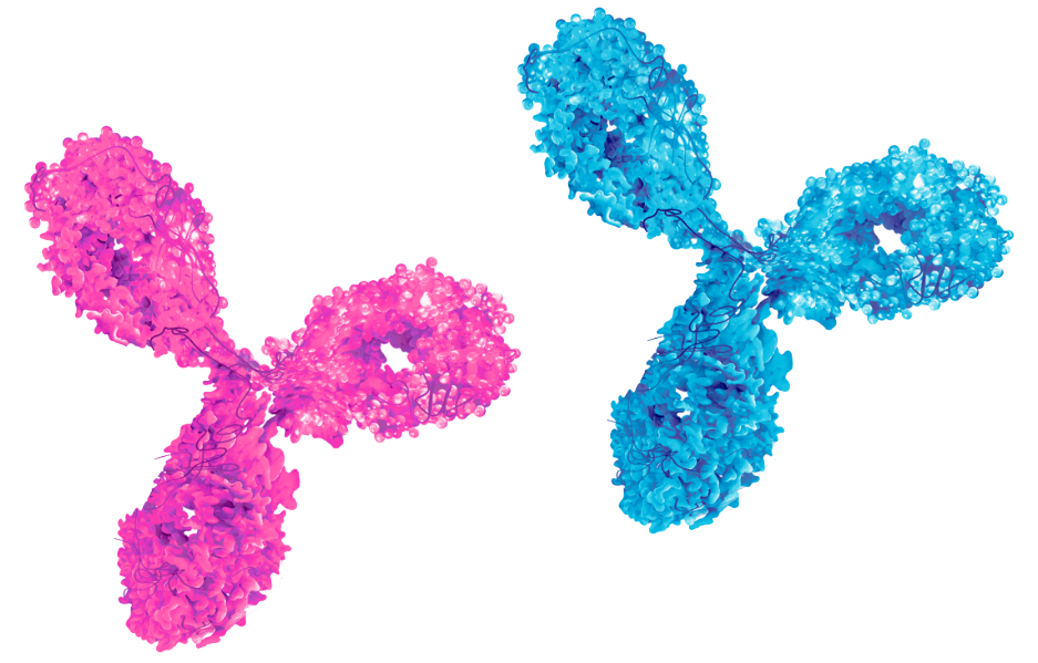 blue and pink coloured molecules representing dual biosimilar molecules